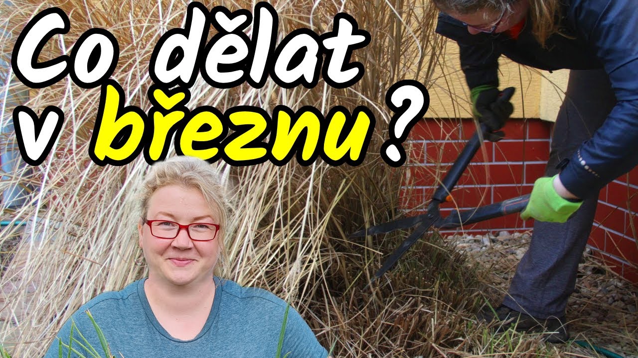 Práce na zahradě v březnu 👨‍🌾 Na co NESMÍTE zapomenout 📅 + 3 postupy: jahodníky, levandule, traviny