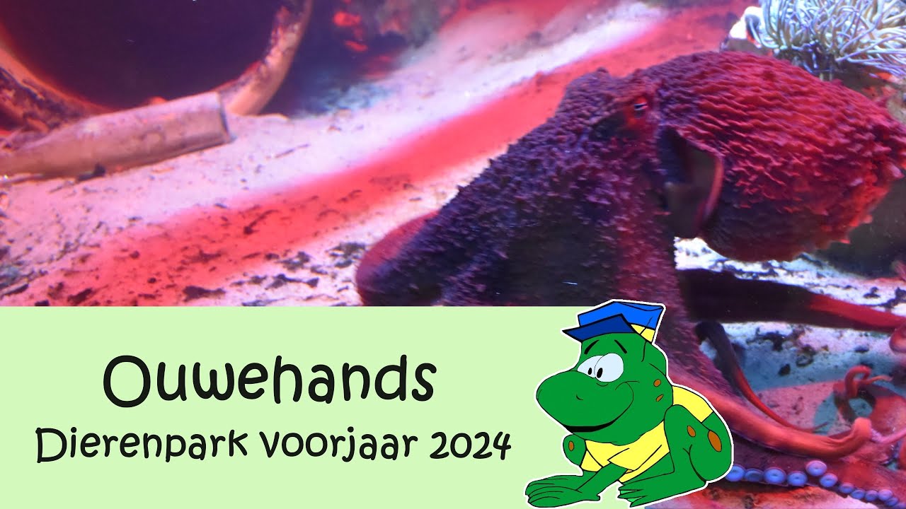 Ouwehands Dierenpark, voorjaar 2024