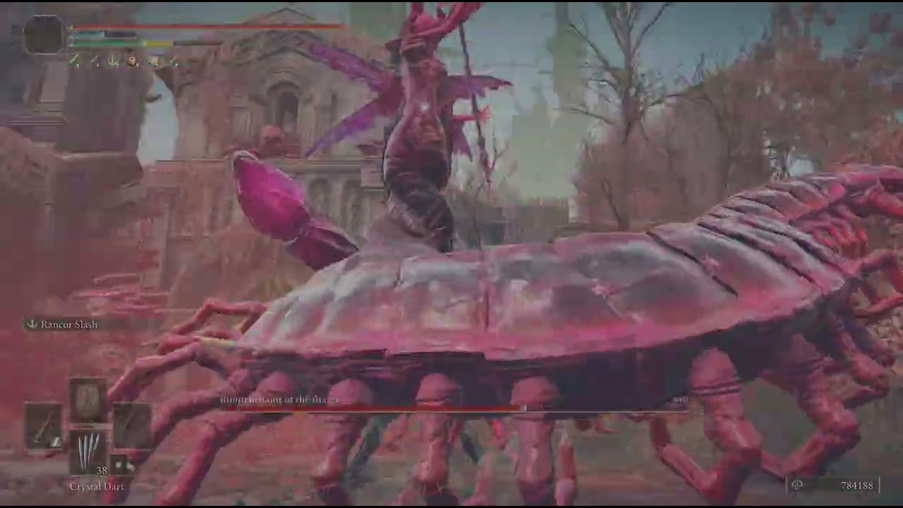 Halberds 16 dex/int (Romina) no hit