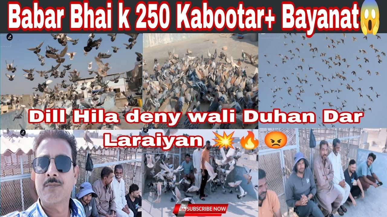 Babar Bhai k 250 kabotron ki Duhan Dar Laraiyan 💥
