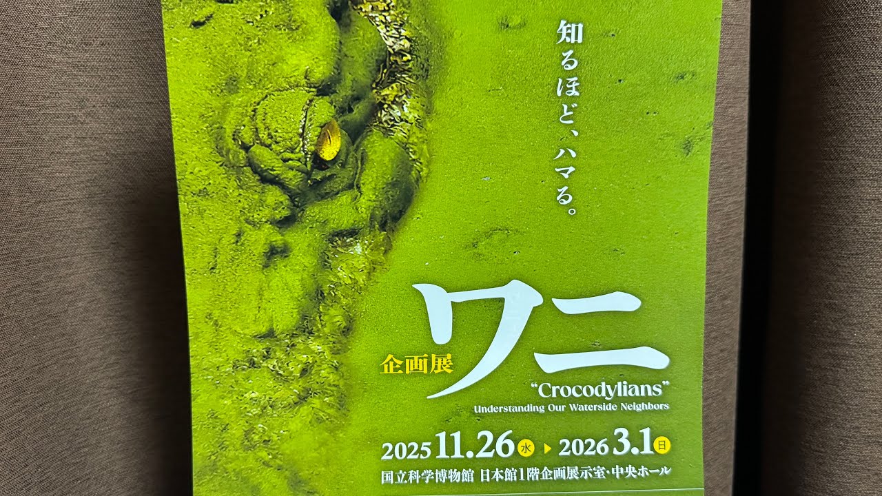 260203 節分、科博のワニ展みて、パンダ橋から浅草まで歩く