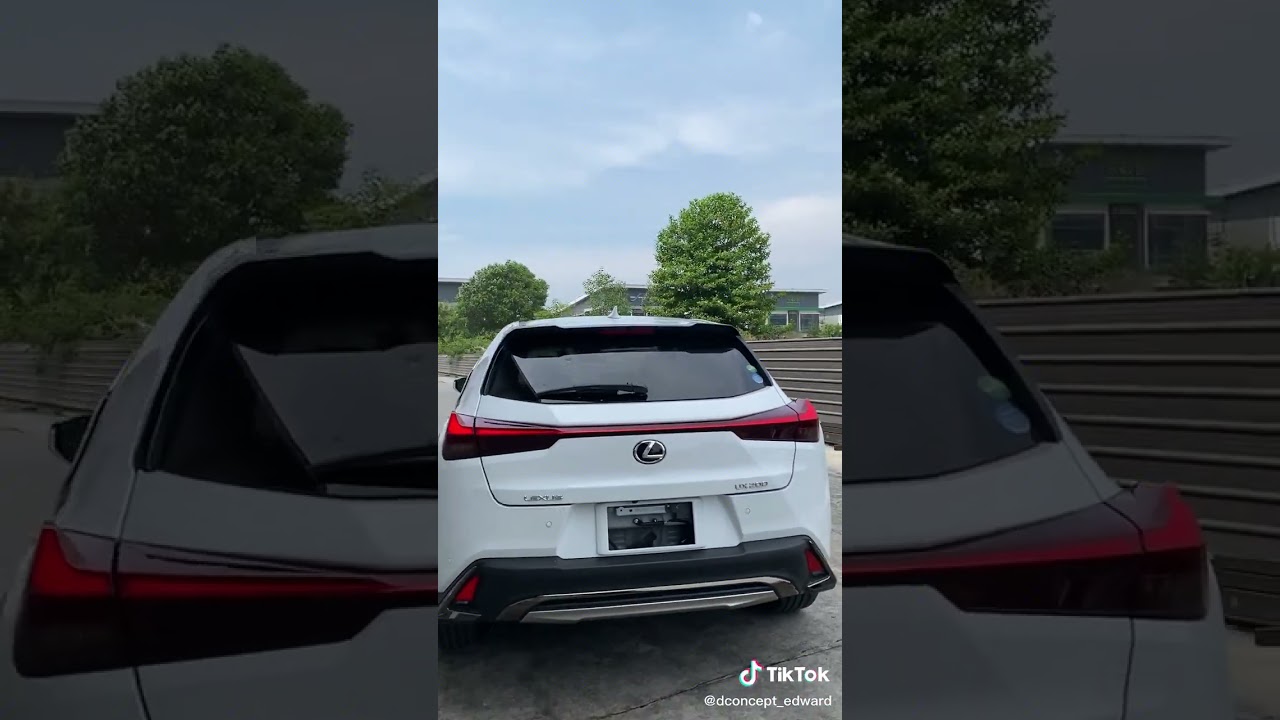 The New 2025 Lexus UX200 #lexuary #lexuscrossover #luxury #luxerious #luxurycar
