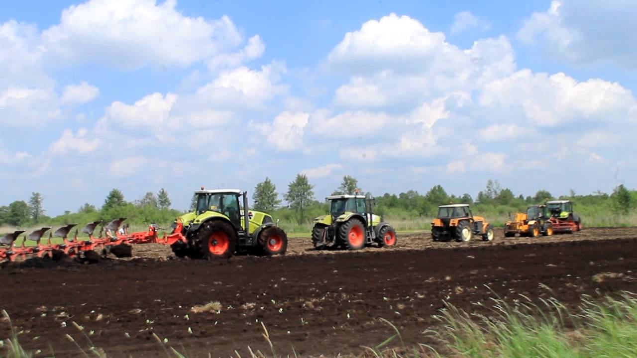 Wpadka 2014 na Bogato!!. Claas Axion 820, Claas Ares X2, JCB, Ursus
