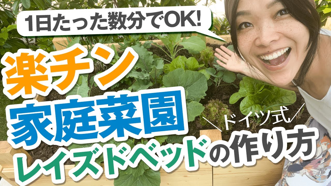 【実践編】ゼロから始める家庭菜園レイズドベッドDIY