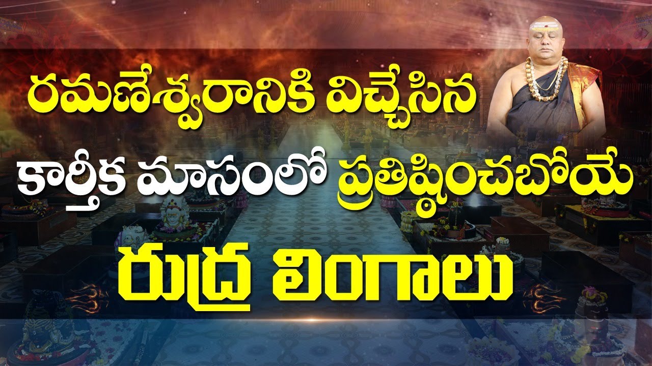 రుద్ర శివ లింగాలు| Rudra Shiva lingas reach Ramaneswaram | Siddhaguru