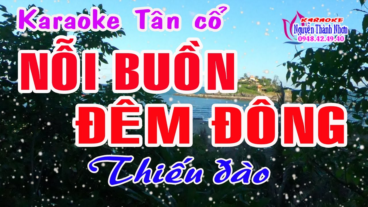 Karaoke tân cổ NỖI BUỒN ĐÊM ĐÔNG - THIẾU ĐÀO [ Hát cùng Hoàng Hôn ]