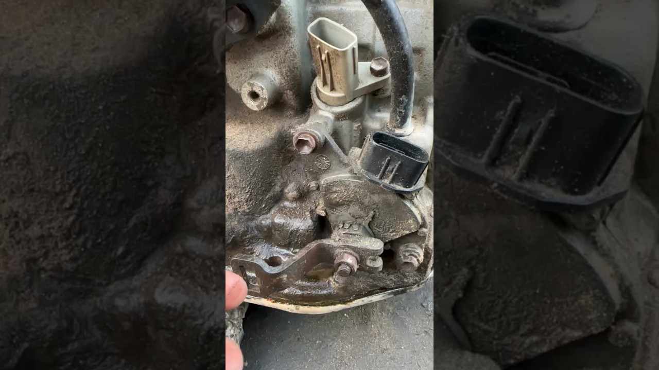 Transmission Slector Switch Check | Checking Transmission Switch | #youtube #automobile #mechanic