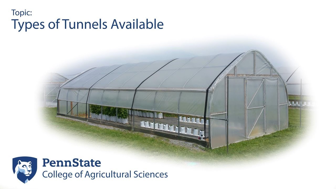 High Tunnel Structures: Types of High Tunnels