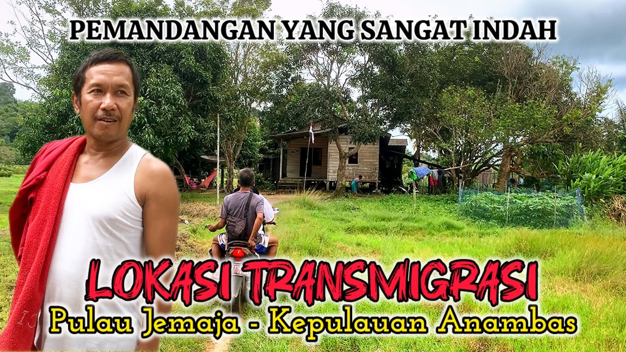 SUBHANALLAH‼️INDAHNYA PEMANDANGAN PERKEBUNAN TRANSMIGRASI PULAU JEMAJA - KEPULAUAN ANAMBAS