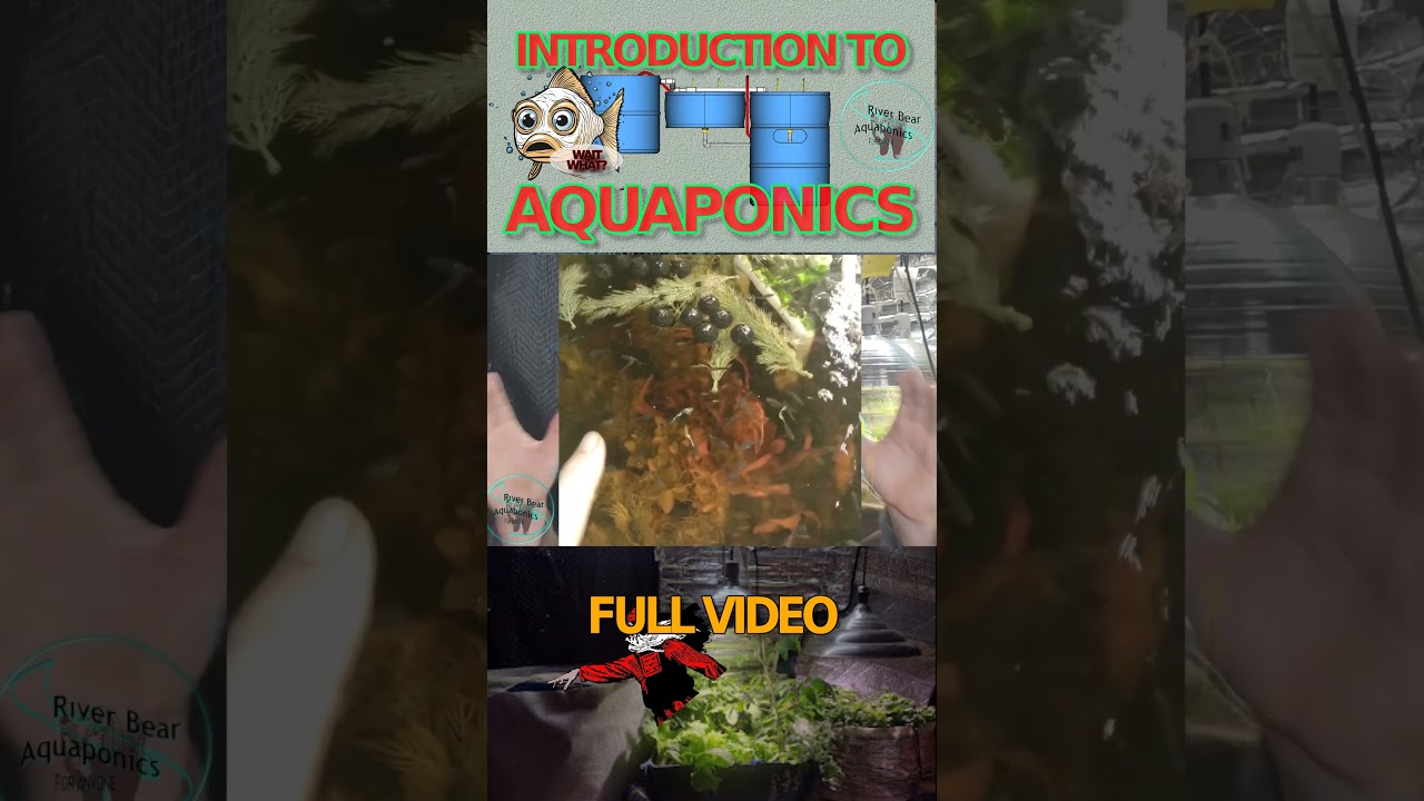 AQUAPONIC FACTS 25 #riverbearaquaponics #aquaponics