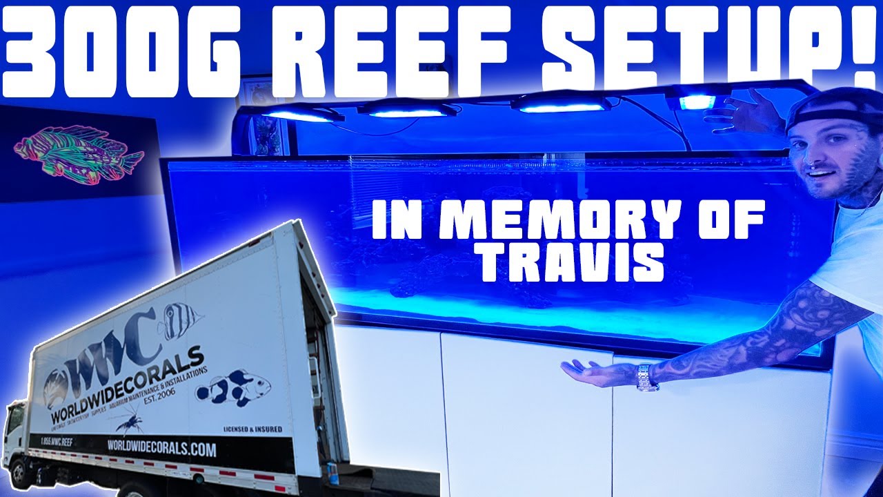The MOST Important Reef Build of my Life! In remembrance of My Best Friend Travis🤍