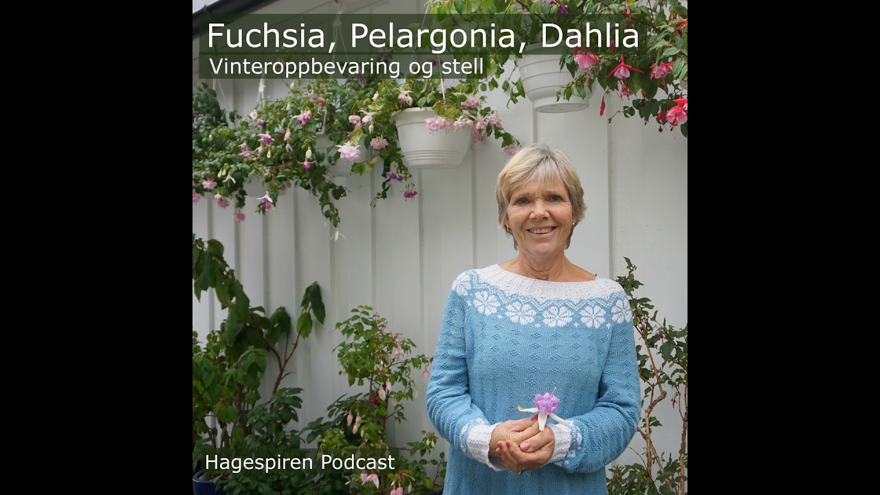 34/25: Tilbakeblikk - Vinteroppbevaring og stell av fuchsia, pelargonia og dahlia med Anne Starholm