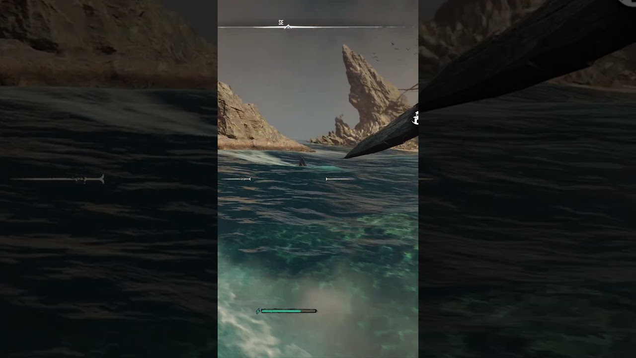 Skull & Bones 