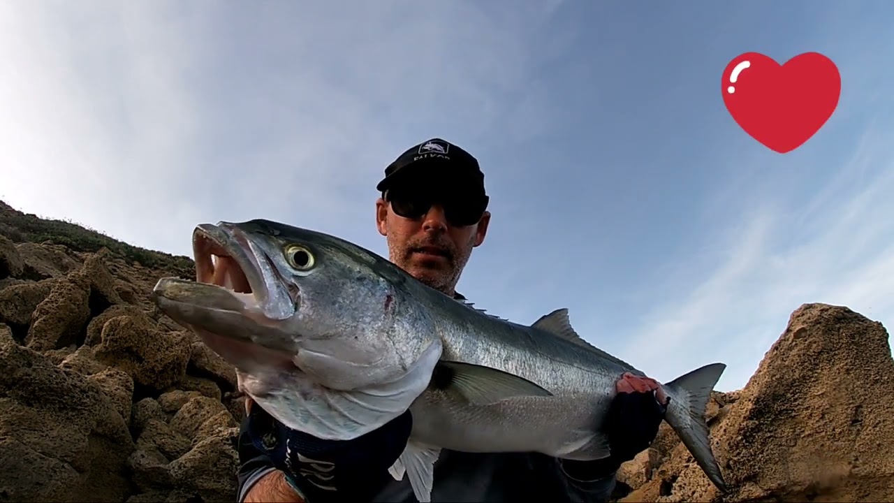 Pesca Spinning Costa : Jugando en las Rompientes 🌊🌊🌊 .
