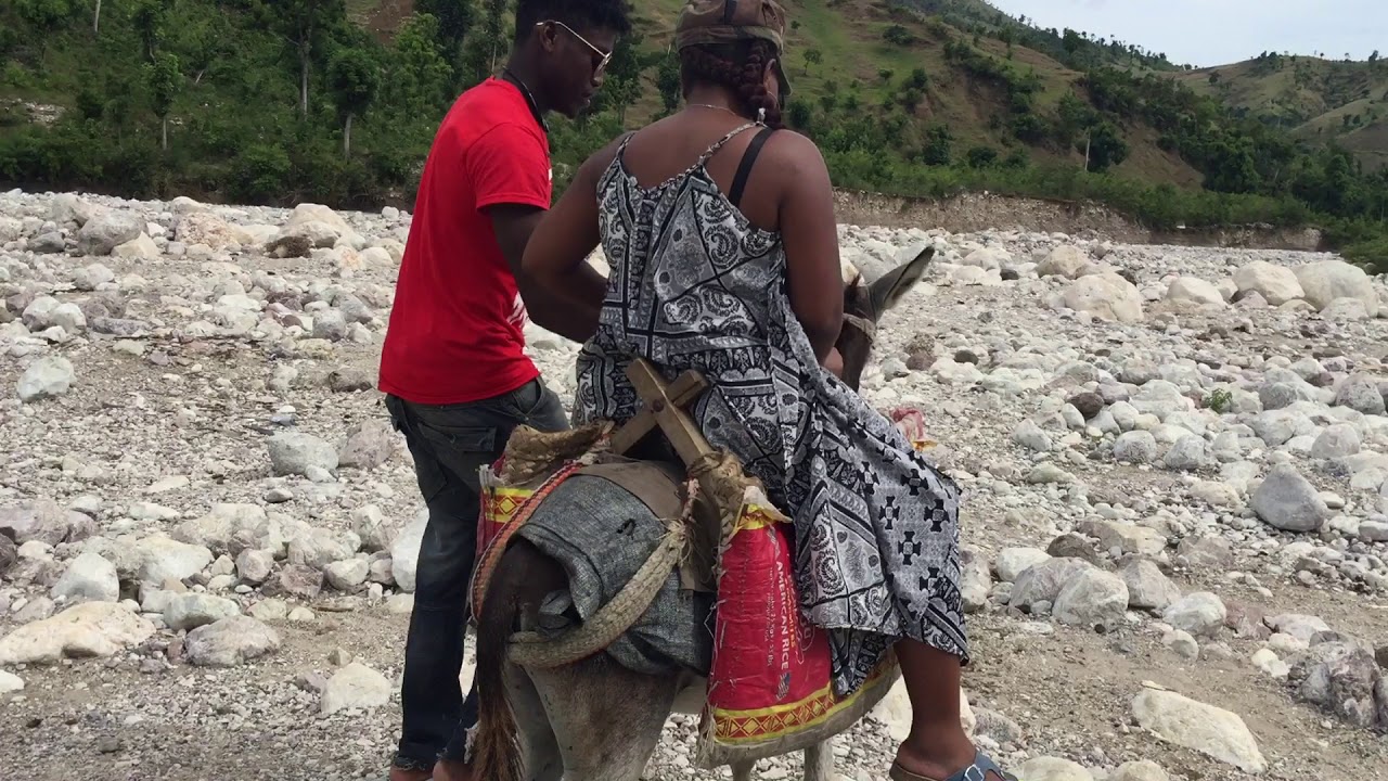 Donkey ride