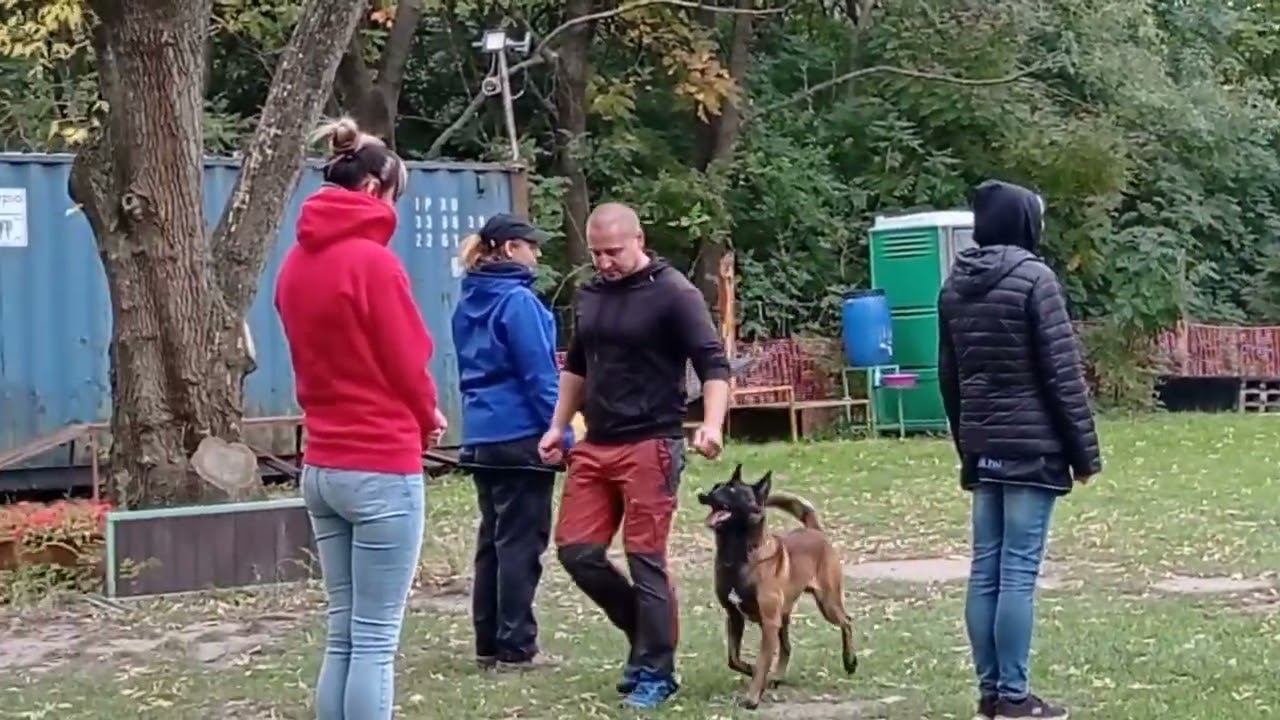 Honti Dániel és Kondorvölgyi Fantom IGP3 vizsga 2025.10.11.