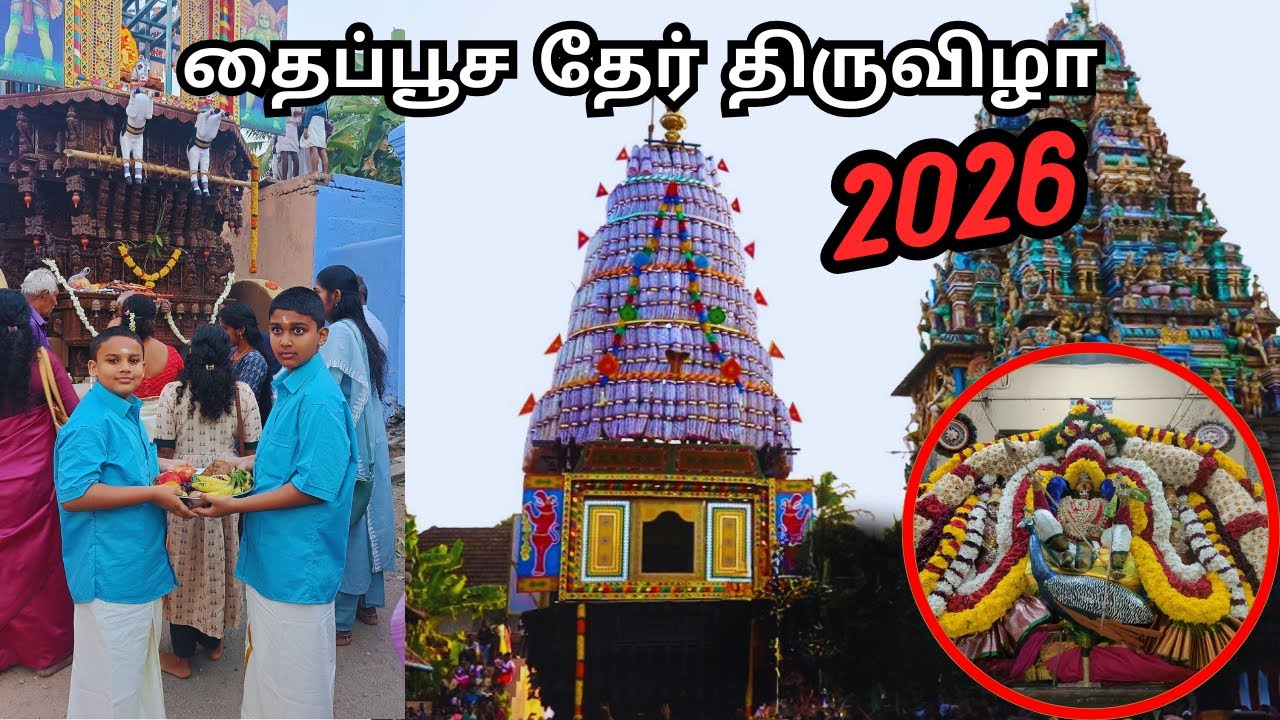 🛕🎇😍எங்க ஊரு தைப்பூச தேர் திருவிழா 2026/Appu And Puppy/Festival Vlog/Thaipoosam 2026 #thaipoosam2026