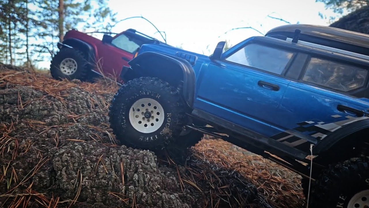 A journey through the woods for two Bronco. RGT EX86130 &HB R1001 