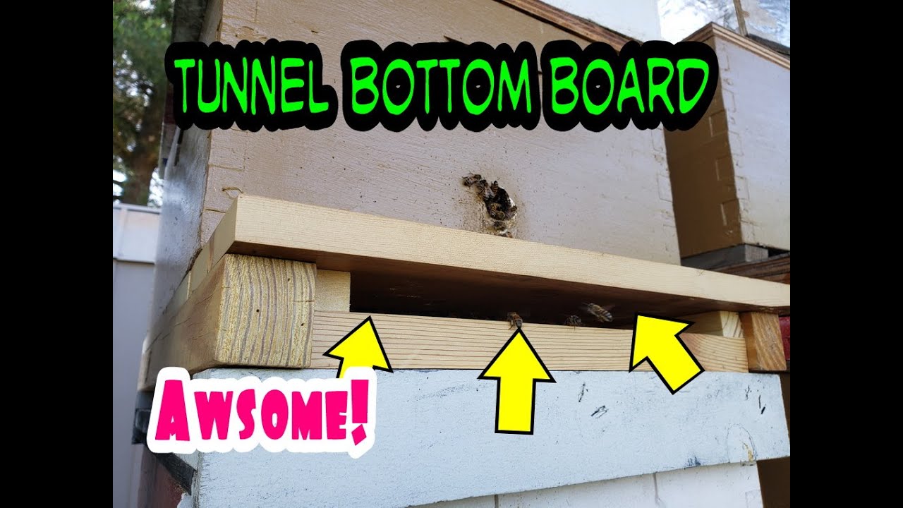 New Tunnel Entrance bottom board installed on hive box.