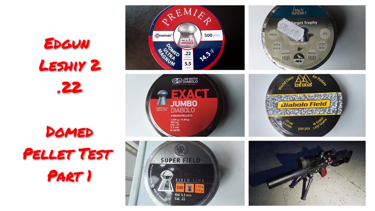 Edgun Leshiy 2 - .22 Domed Pellet Test (part 1)