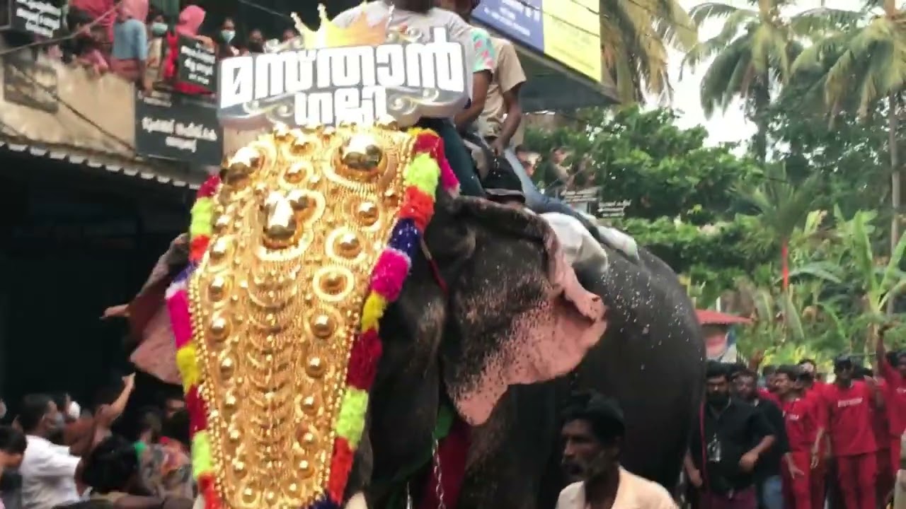 pattambi nercha 2022 രാത്രി   കാഴ്ചകൾ
