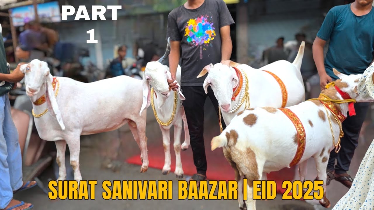 SURAT SANIVARI BAAZAR EID 2025 | PUBLIC REVIEW FOR AL MEEM