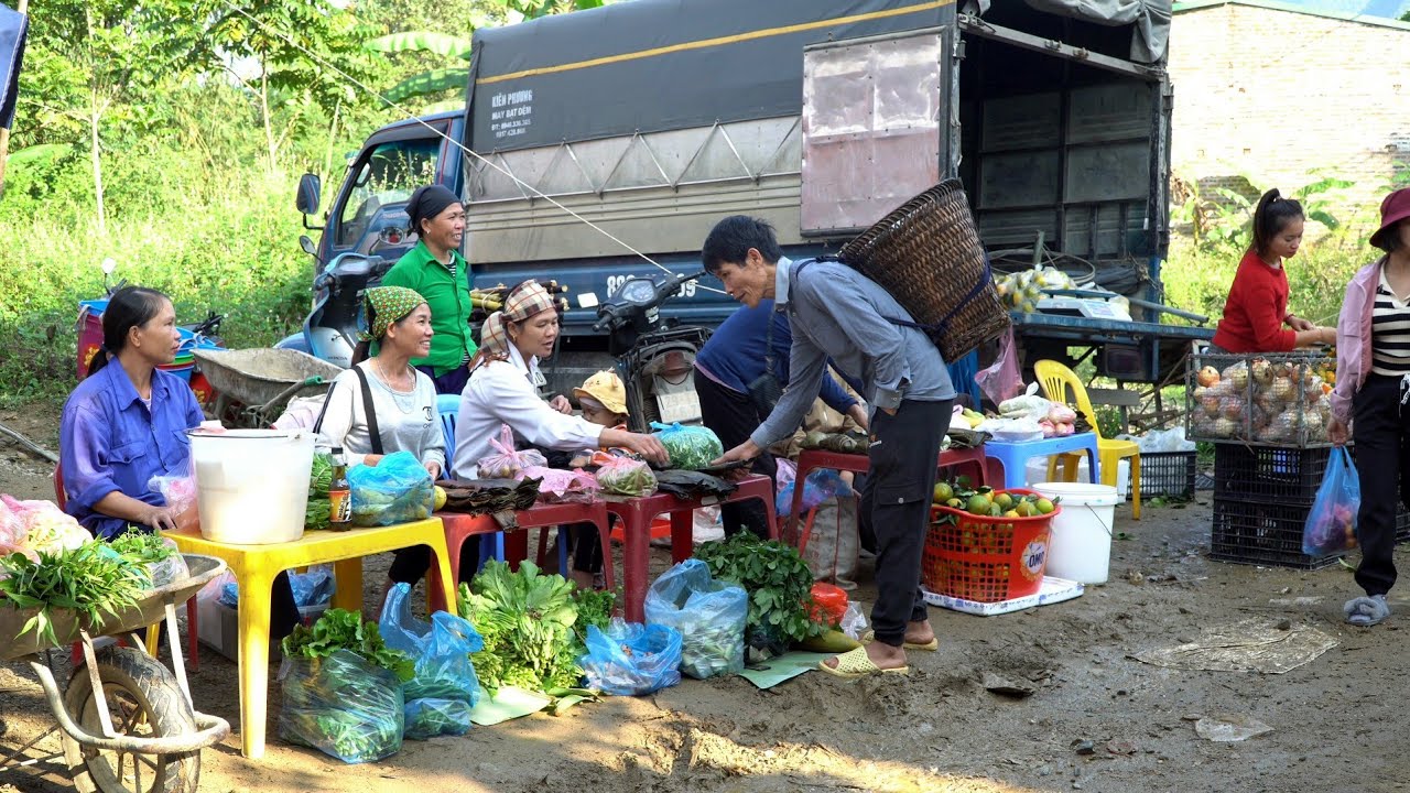 Harvesting Forest Banana & Green Vegetables Goes to the Market Sell | Solo Survival
