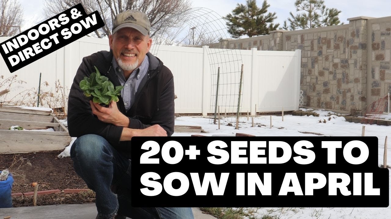 Sow these Veggies in April~Indoors and Direct in the Garden