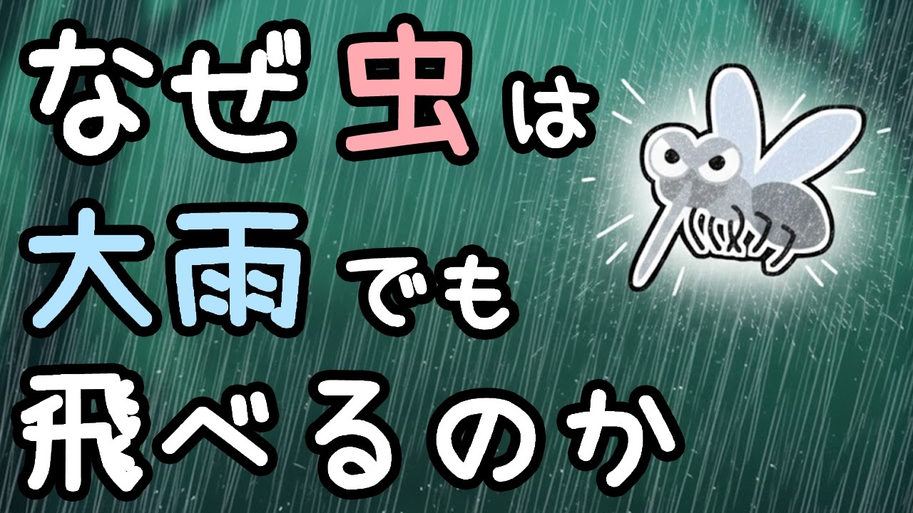 虫が大雨の中でも飛べる理由【ざっくり解説】