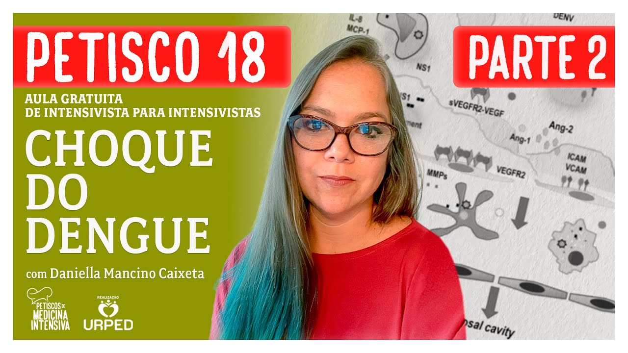 PETISCO 18 | CHOQUE DO DENGUE | PARTE 2/2