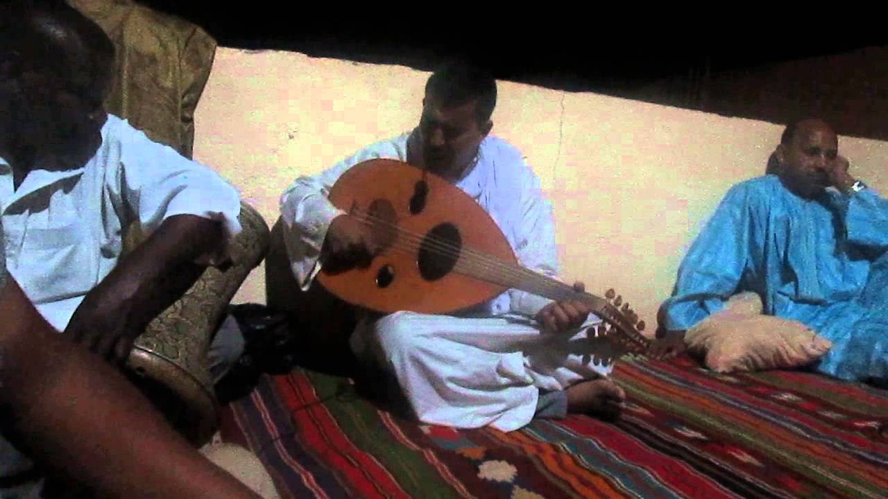 زاير في توات