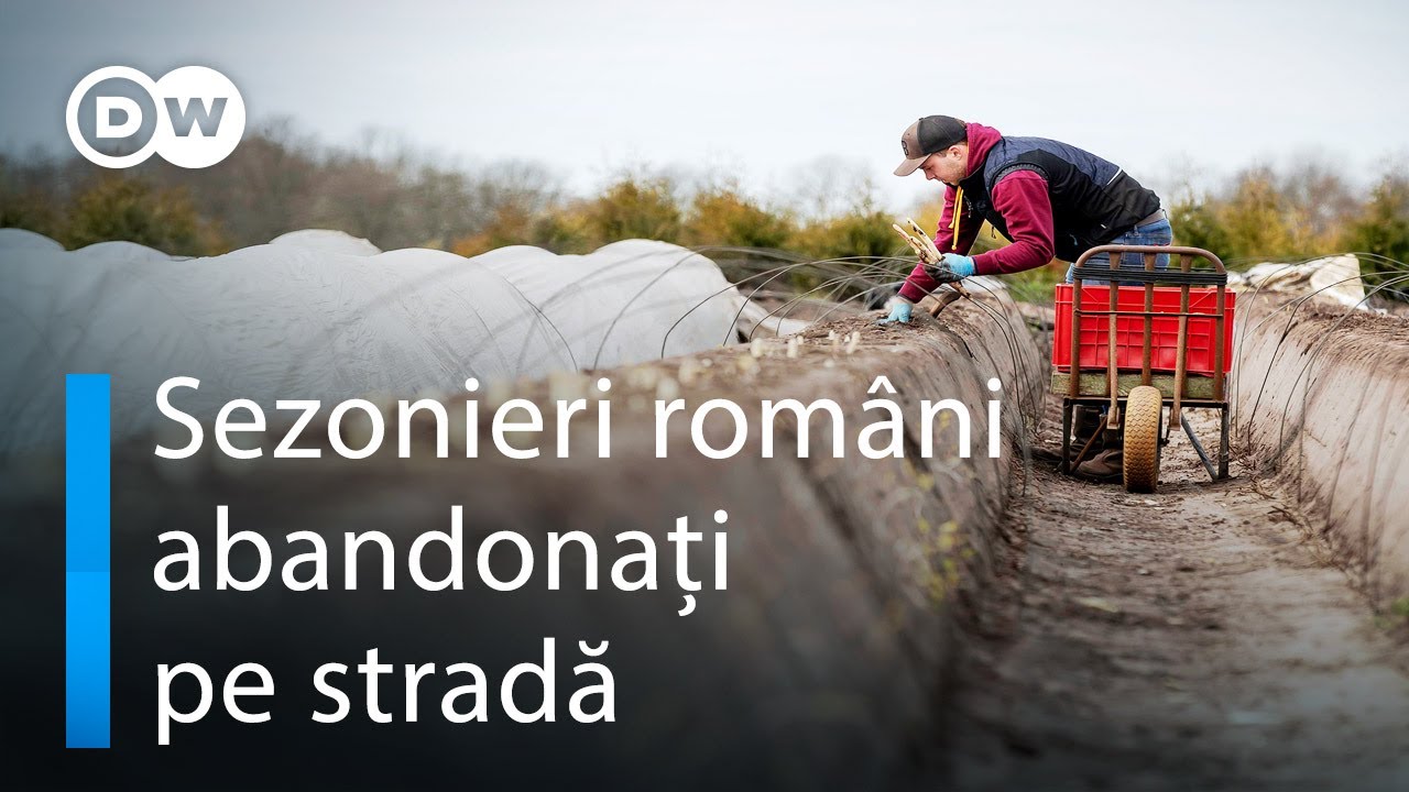 Sezonieri români abandonați pe stradă în Germania!