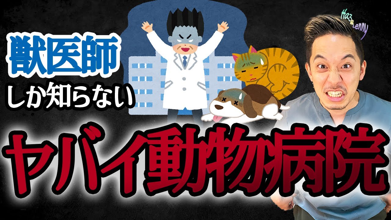 【見極めるポイントはたった１つ】良い動物病院とは〇〇〇が同じ病院のことです