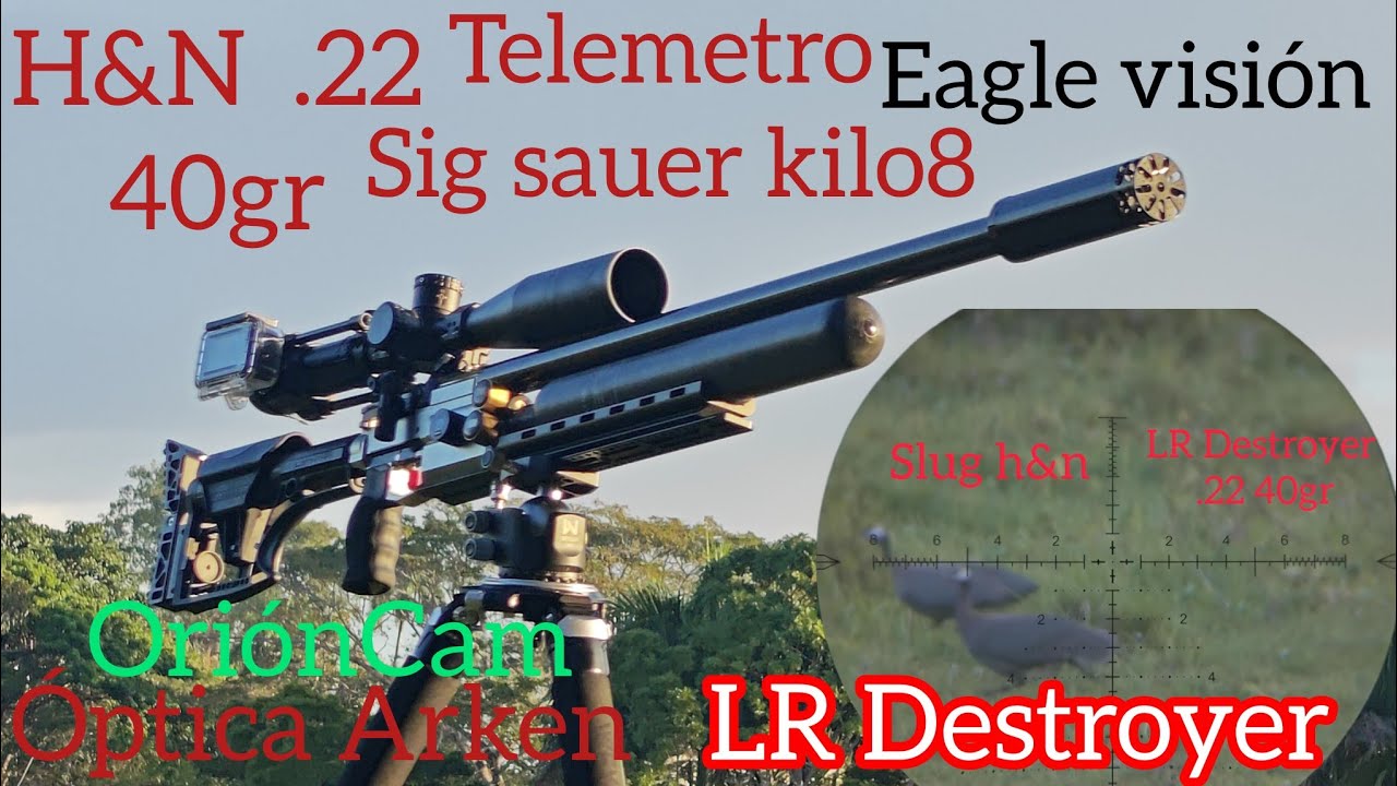 Cacería De Guineas Cimarróna República Dominicana LR Destroyer .22 40gr 
