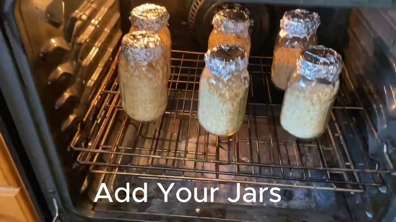 Making Spawn Grain Without A Pressure Cooker 2024 (Oven Tek)
