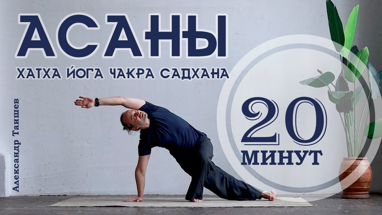 Практика асан с Александром Таишевым. Комплекс асан последовательность на 20 мин