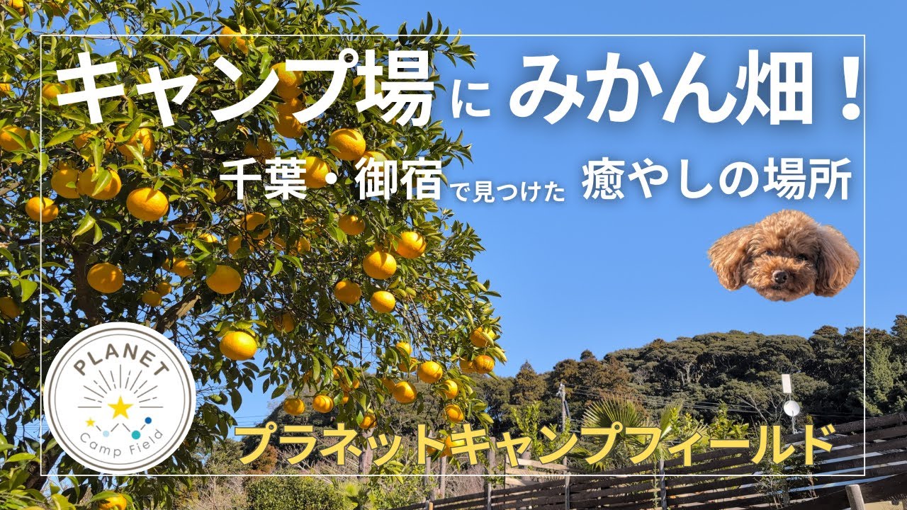 【プラネットキャンプフィールド】千葉・御宿で見つけた癒やしのキャンプ場。