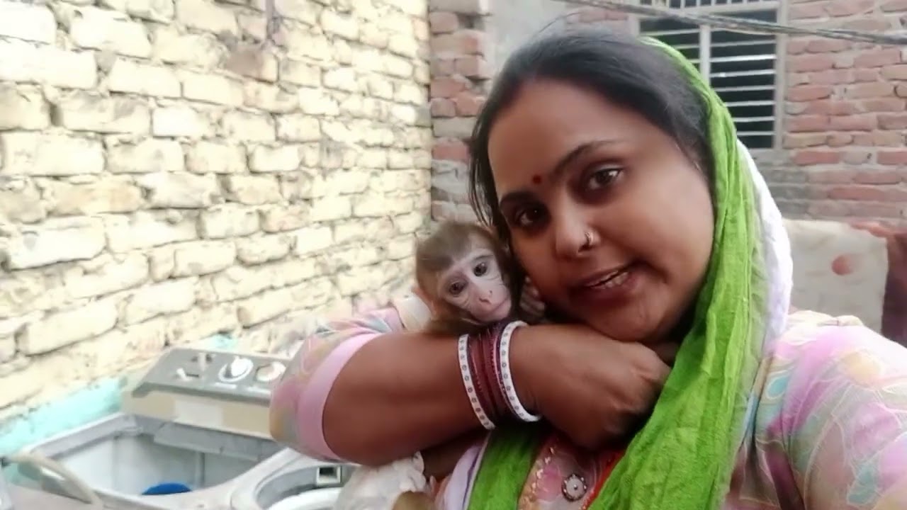 आज तो इस समय नुकसान कर दिया मेरा  🐒👈  😱