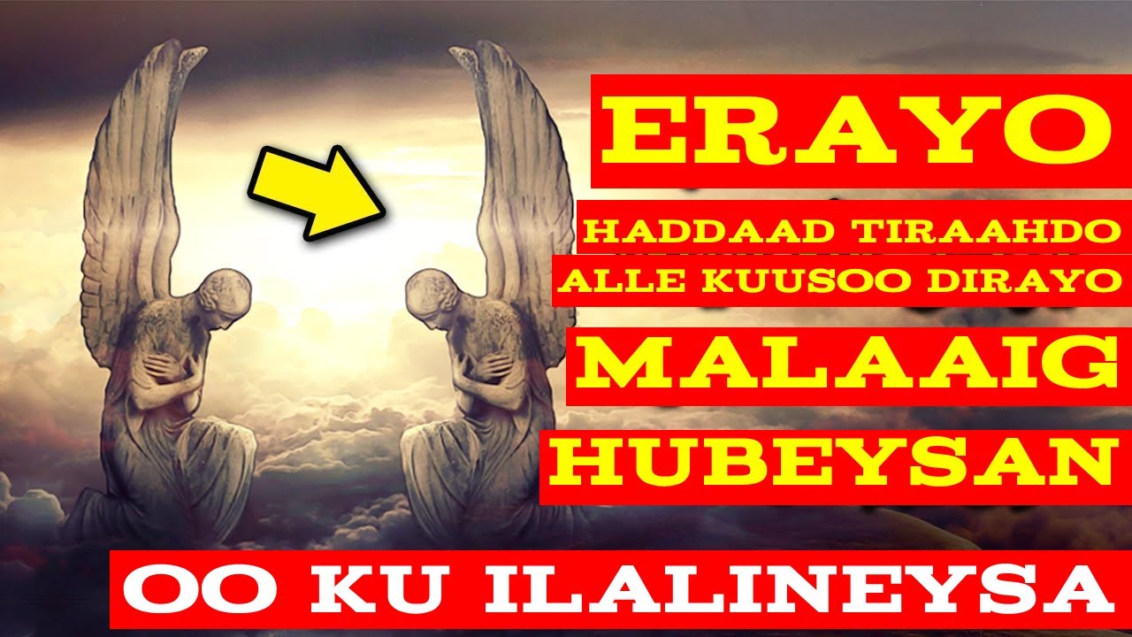 duco haddaad aqrisato isla markiiba alle SW kuusoo dirayo malaaig hubeysan oo ku waardiyeynesa ilaa