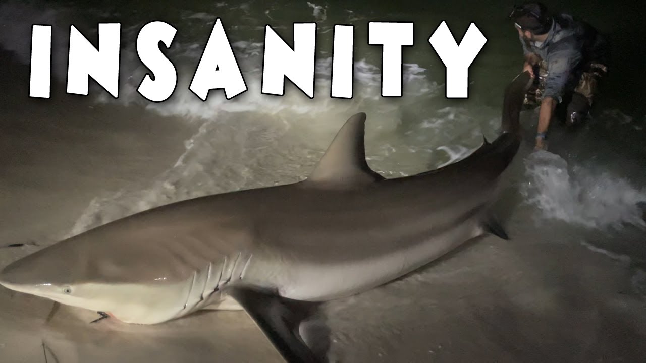 Giant Monsters Everywhere | Shark Fishing (LBSF)