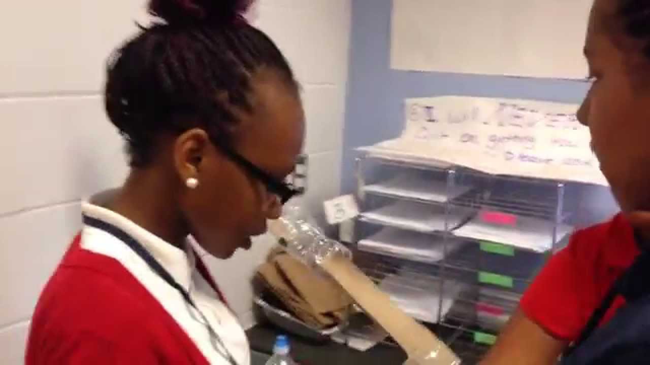 SBA Engineering Design Squad Roller Coaster