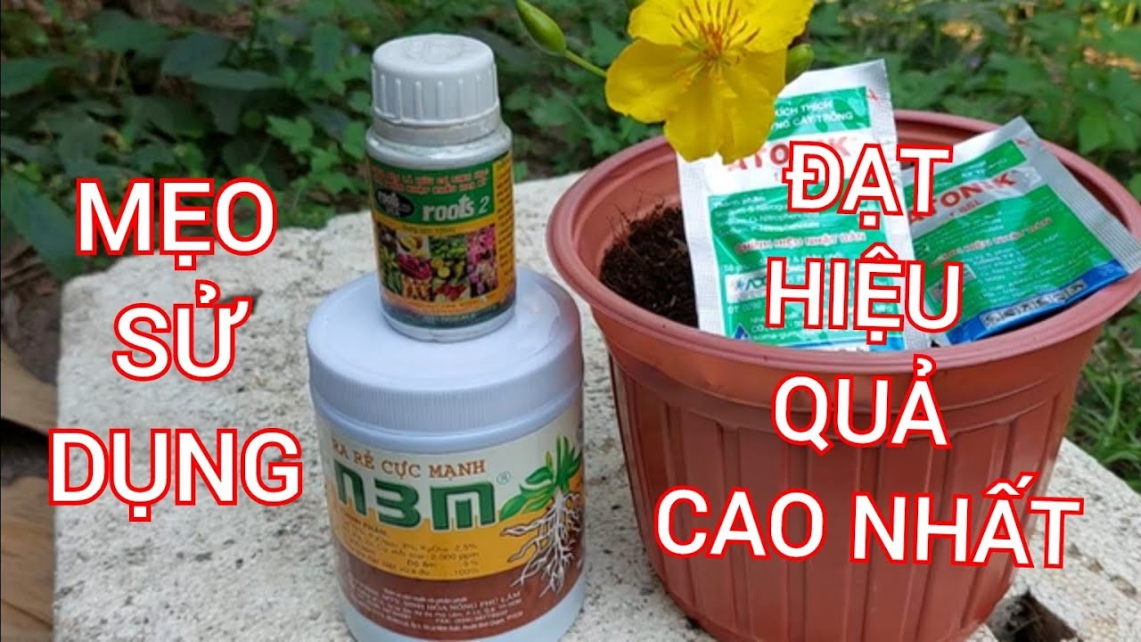 CÁCH DÙNG N3M , ATONIK,ROOT2  , pha chung với phân bón và thuốc trừ sâu ?