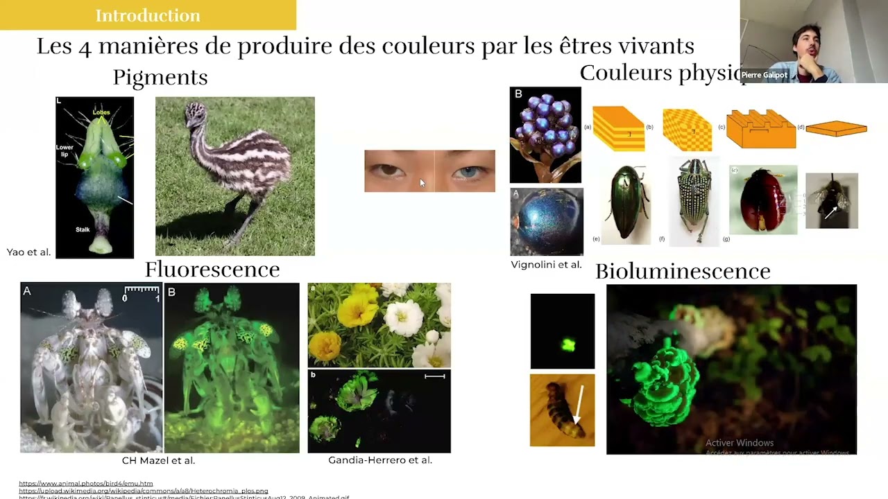 Pigments des végétaux : diversité, fonctions biologiques et évolution, Pierre Galipot