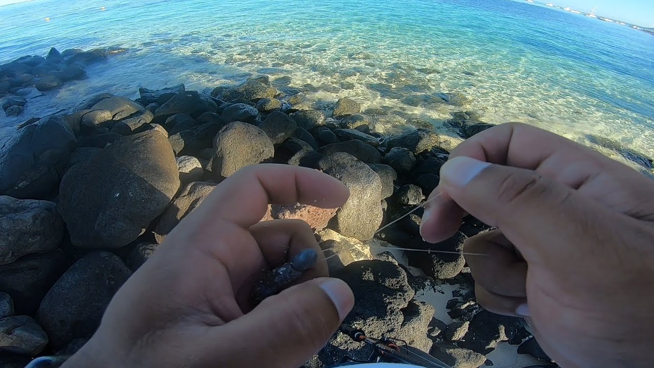 ep#1- How to tie a Rapala knot that catches fish!!
