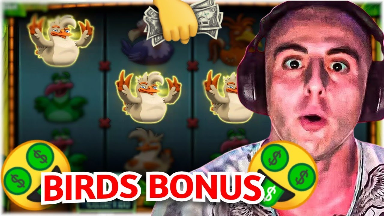 🔥 Klasick&yacute; deň na BIRDS slotě 🔥 PROFIT BONUS?! 🤑🤑
