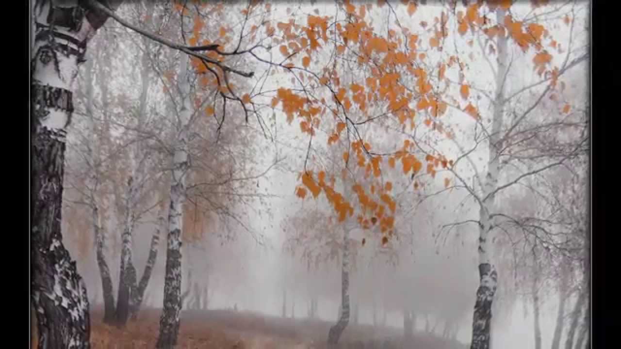 Игорь Двуреченский. 