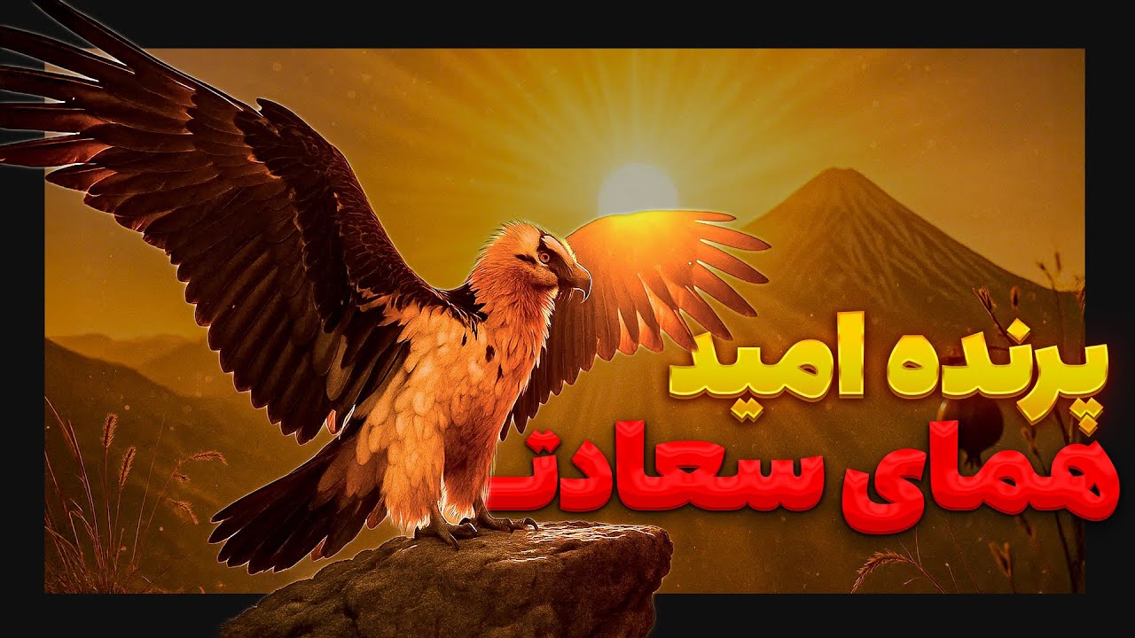 همای سعادت واقعیه؟ چرا عجیب ترین پرنده دنیاس؟