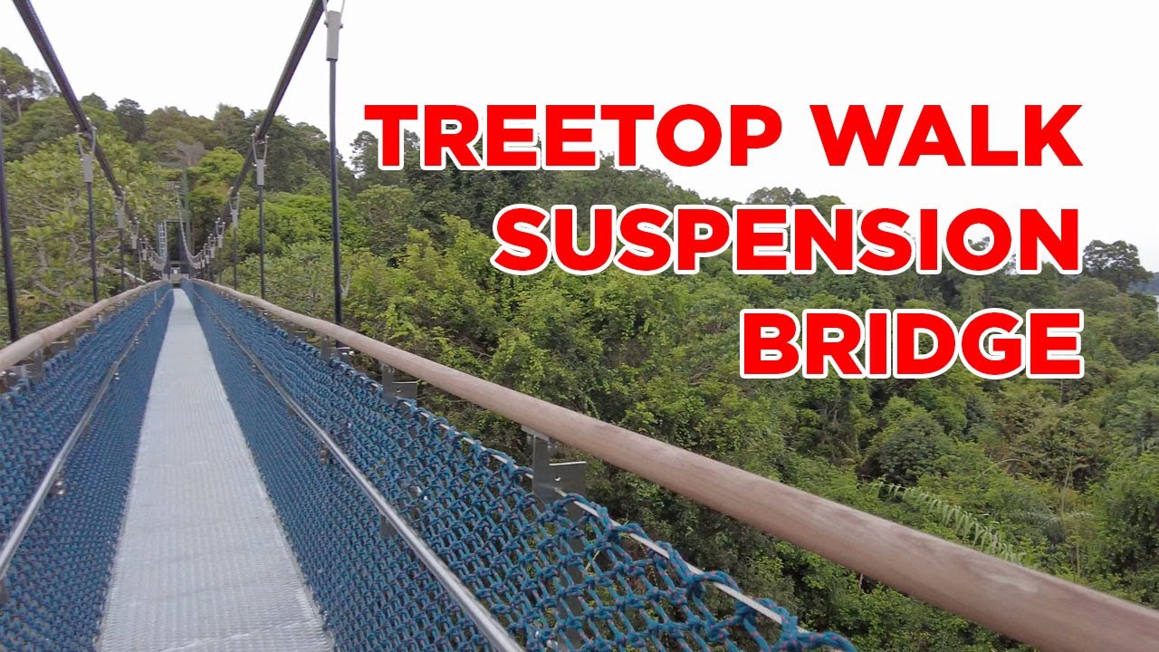 TreeTop Walk, MacRitchie Central Catchment Area || Walking Singapore