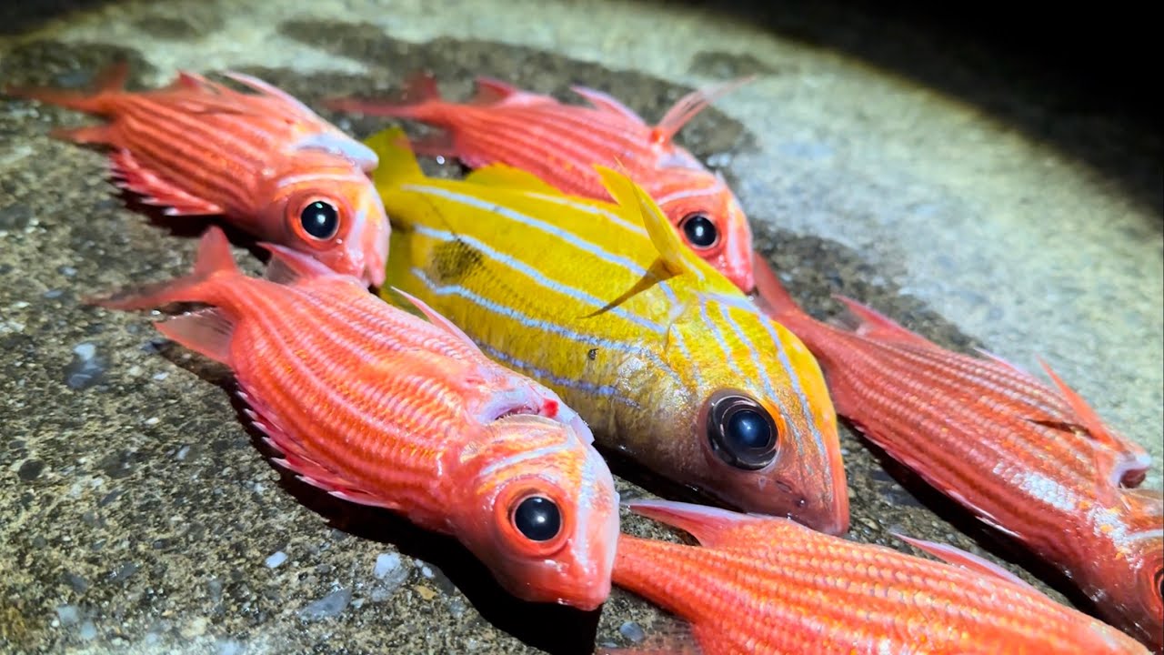 市場に出回らない魚が釣れたので棒に固めて焼いた