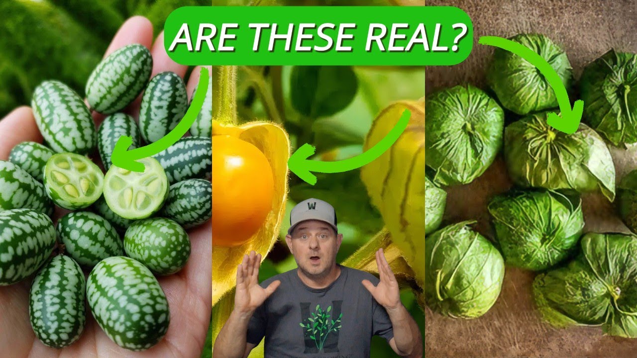 Stop Growing Boring Veggies – These 7 Will Blow Your Mind